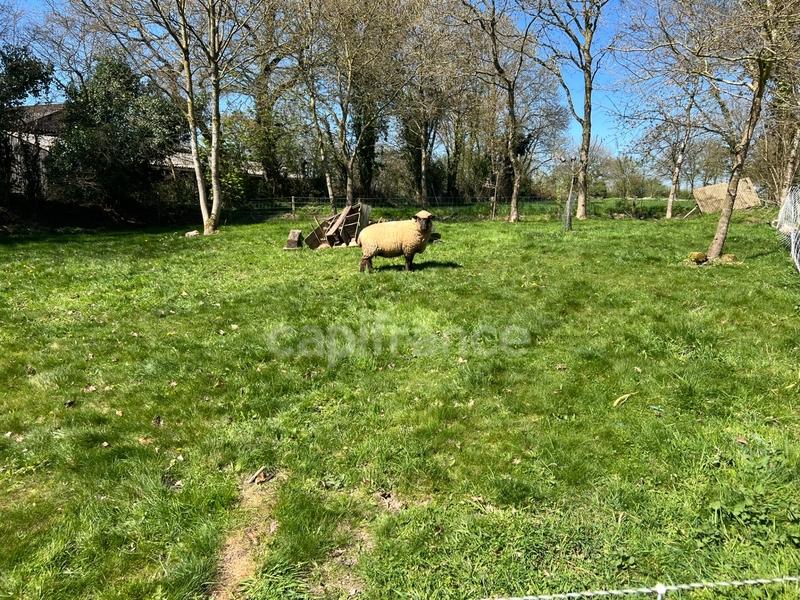 Maison - 108 m² - 5 pièces