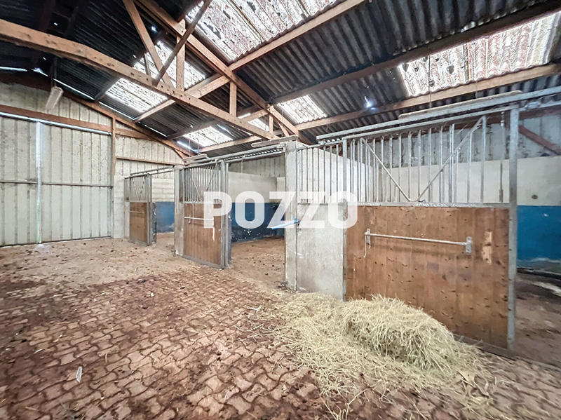 Maison de domaine équestre - 400 m²