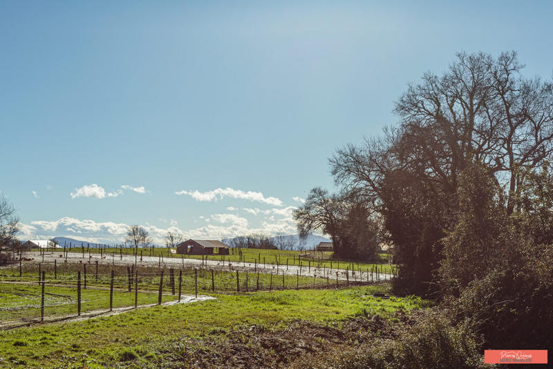 Maison - 110 m² - 3 pièces