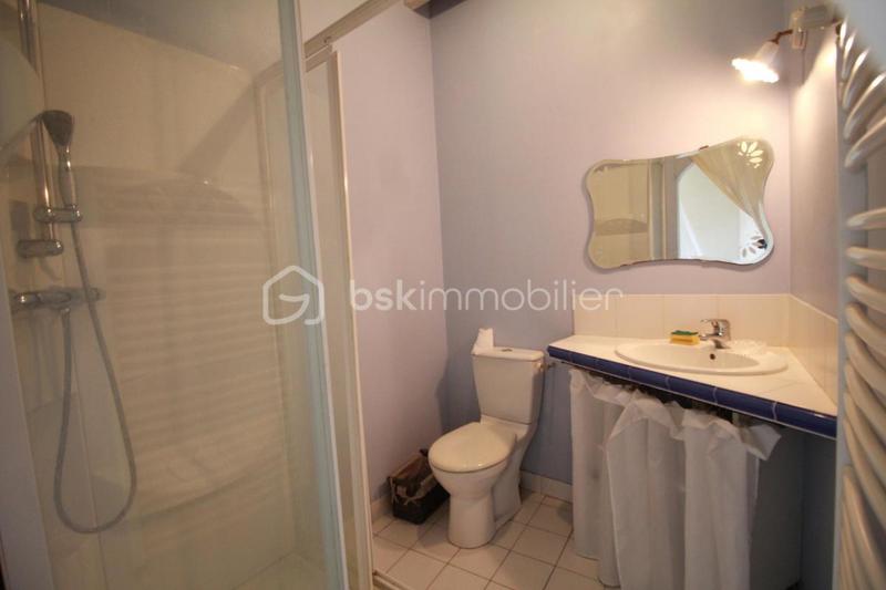 Corps de ferme - 300 m² - 10 pièces