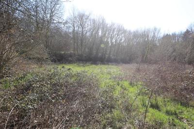 Maison - 120 m² - 3 pièces