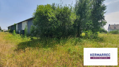 Local d'activités - 1 500 m²