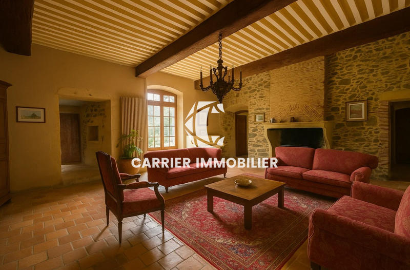 Château - 783 m² - 15 pièces