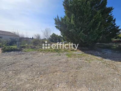Terrain - 980 m²