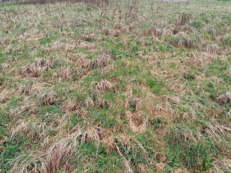 Terrain constructible - 704 m²