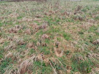 Terrain constructible - 704 m²