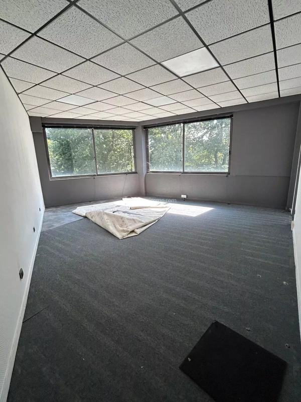 Bureau - 100 m² - 5 pièces