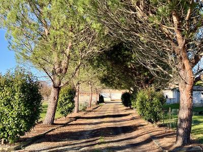 Maison - 240 m² - 8 pièces