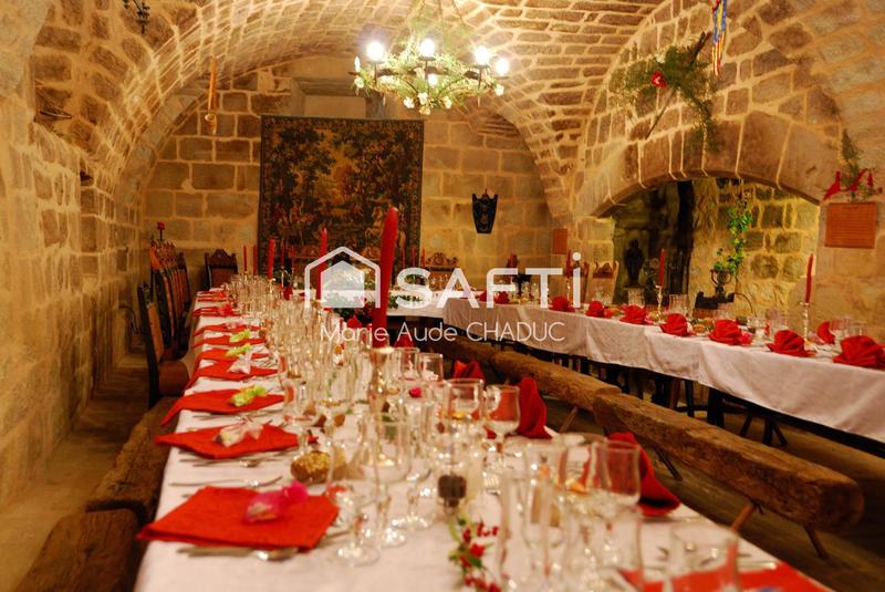 Château - 800 m² - 15 pièces