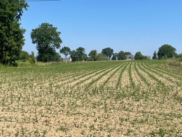 Terrain constructible - 9 678 m²