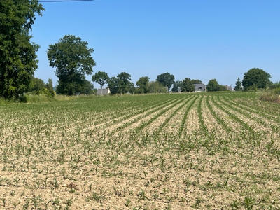 Terrain constructible - 9 678 m²