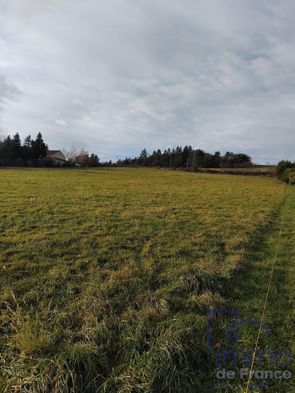 Terrain - 2 591 m²