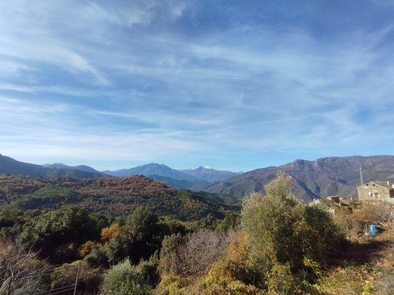 Maison - 111 m² - 5 pièces