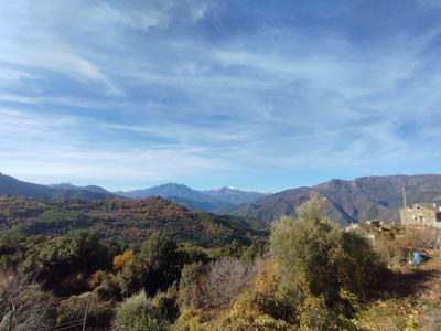 Maison - 111 m² - 5 pièces