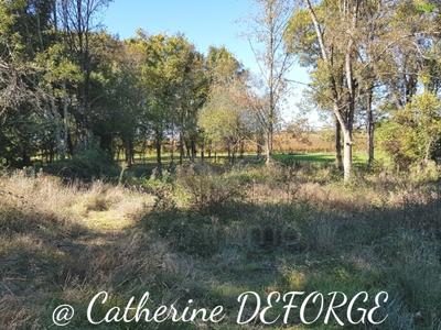 Terrain constructible - 1 248 m²