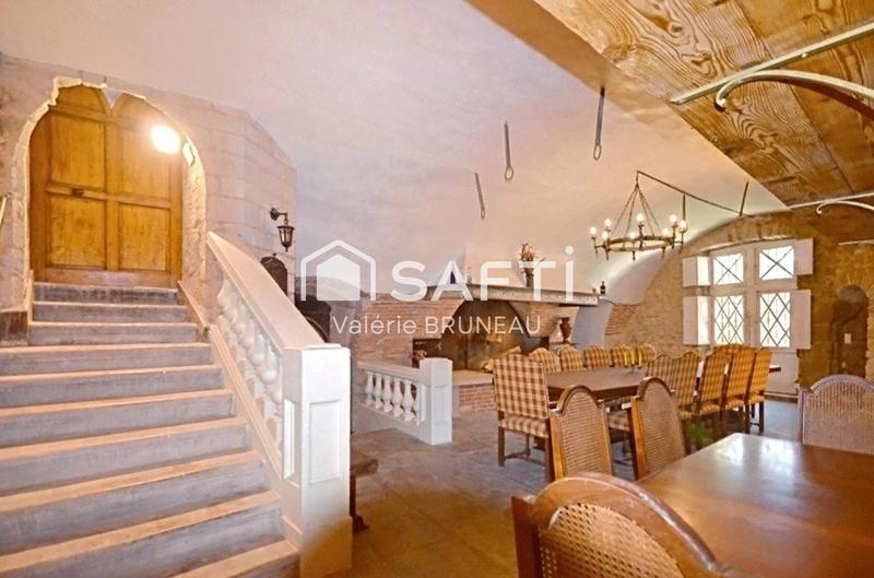 Château - 730 m² - 20 pièces