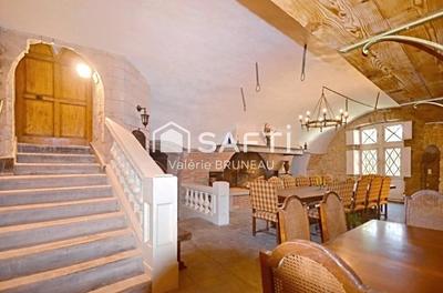 Château - 730 m² - 20 pièces