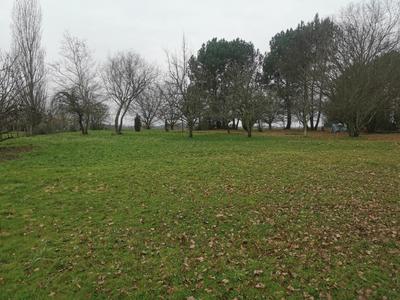 Terrain constructible - 1 000 m²