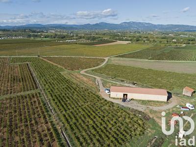 Terrain agricole - 93 829 m²