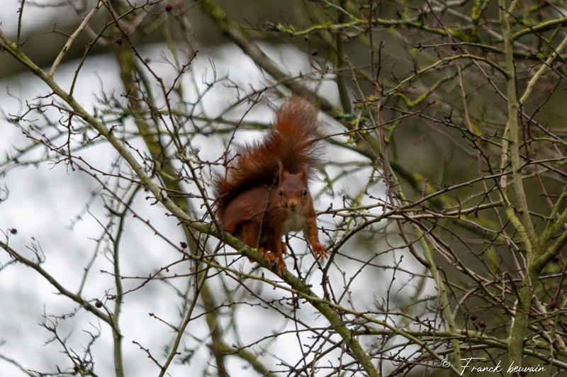 Votre semaine en 7 Vallées