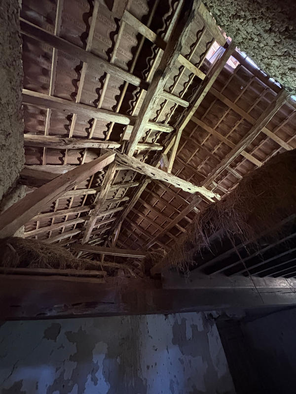 Ferme - 50 m² - 3 pièces