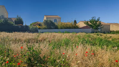 Terrain - 360 m²