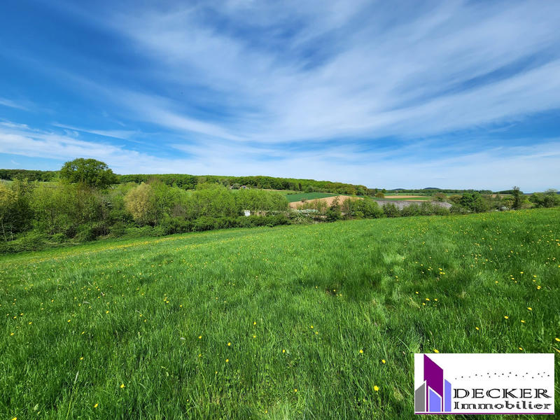 Ferme - 464 m² - 16 pièces