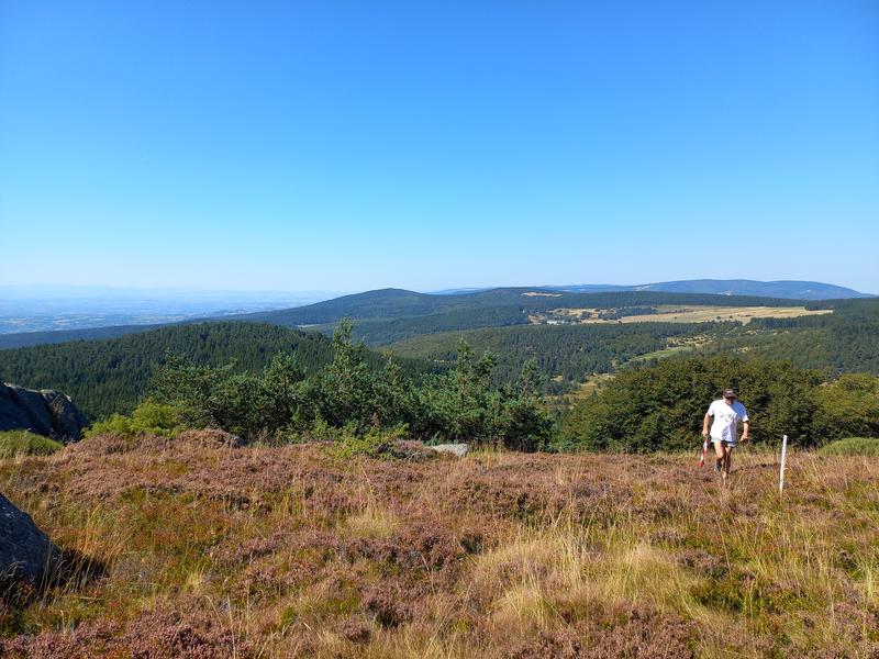 Trail de la Margeride 2026 - "Sur les Pas de la Bête"