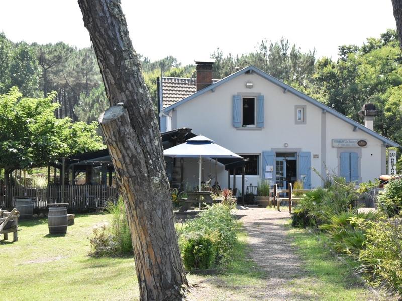 Découverte de l'étang blanc en barque dans l'univers des pêcheurs et chasseurs