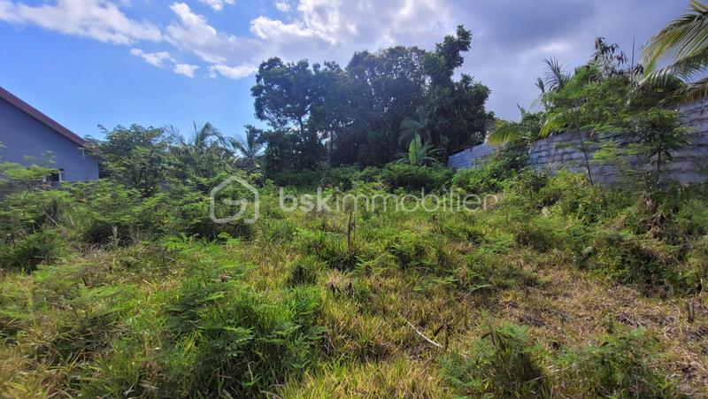 Terrain - 784 m²