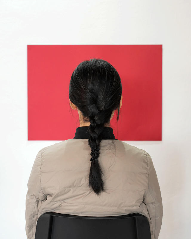 Marina Abramovic. Looking at Colors