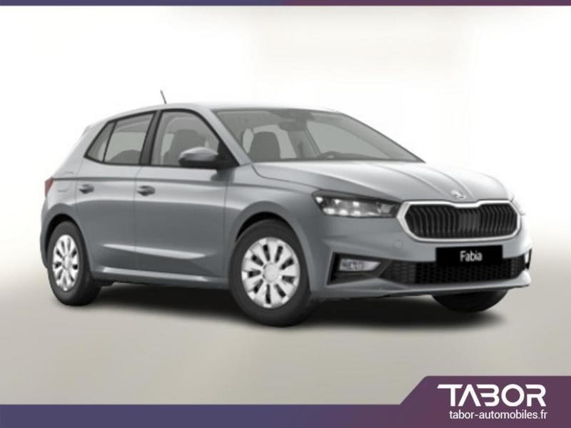 Skoda Fabia Dsg Selec siegeschauff Cam Radars