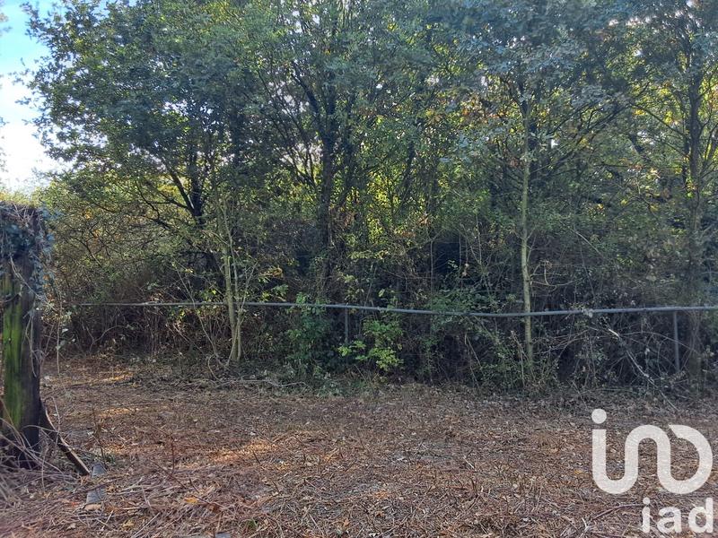 Maison de campagne - 160 m² - 6 pièces