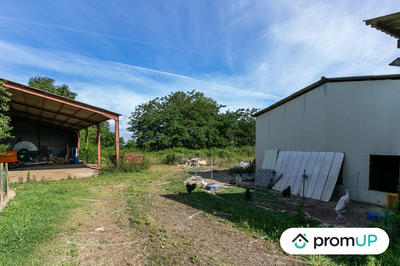 Terrain agricole - 5 000 m²