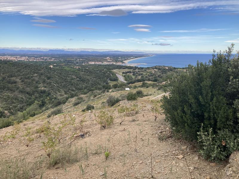 Terrain agricole - 10 846 m²