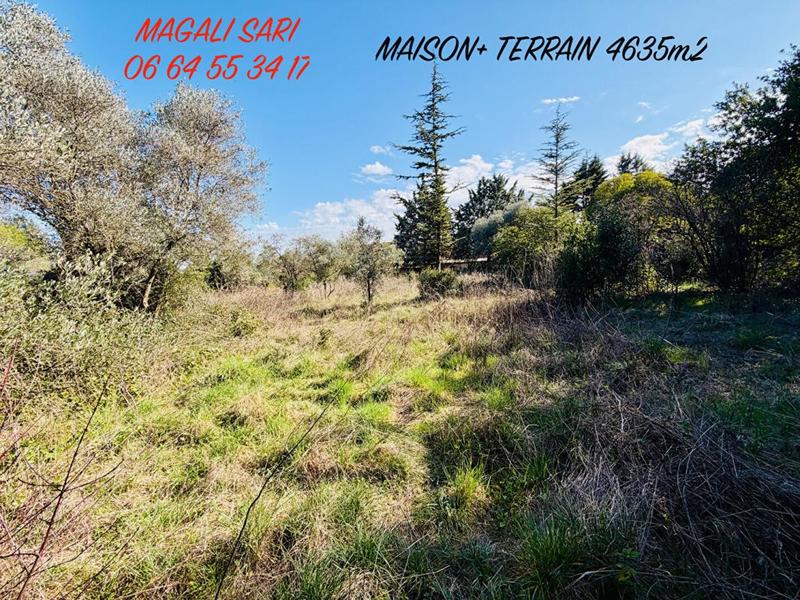 Maison - 174 m² - 6 pièces