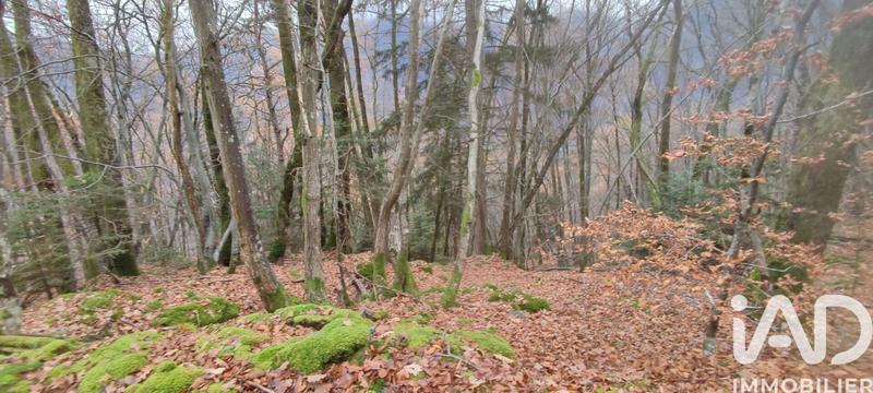 Terrain - 61 700 m²