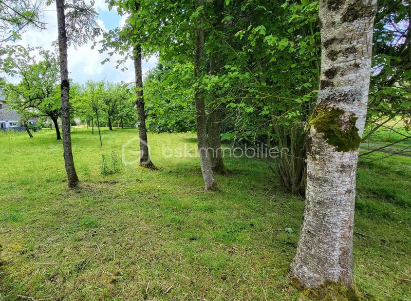 Pavillon - 210 m² - 8 pièces