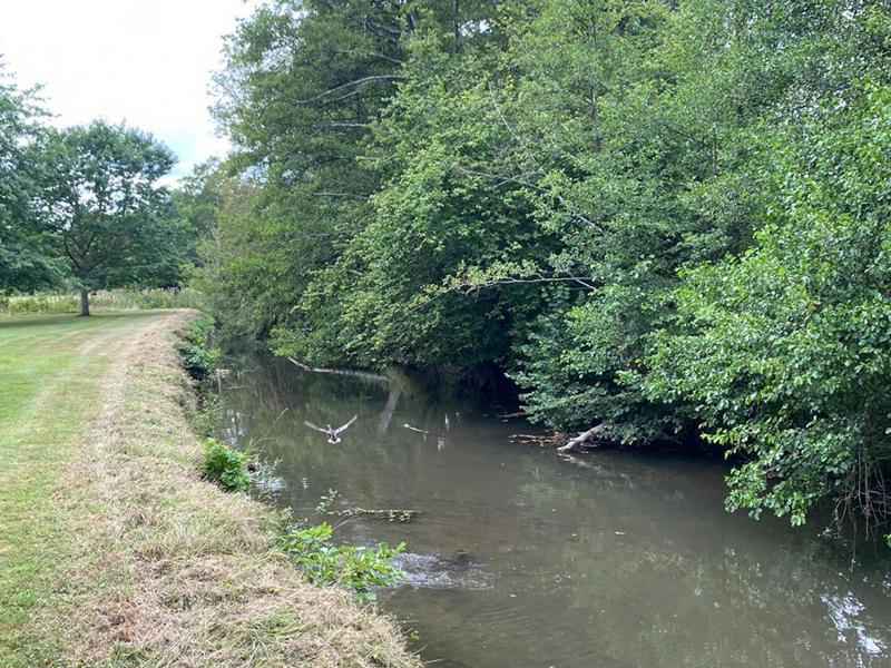 Maison - 273 m² - 5 pièces