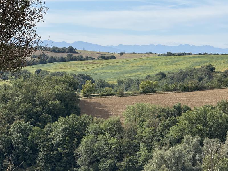 Ferme - 199 m² - 6 pièces