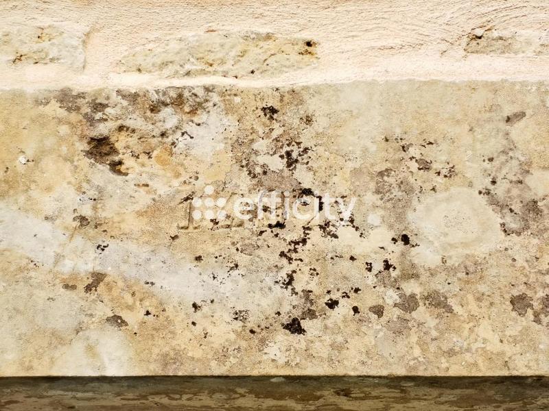 Demeure - 415 m² - 16 pièces