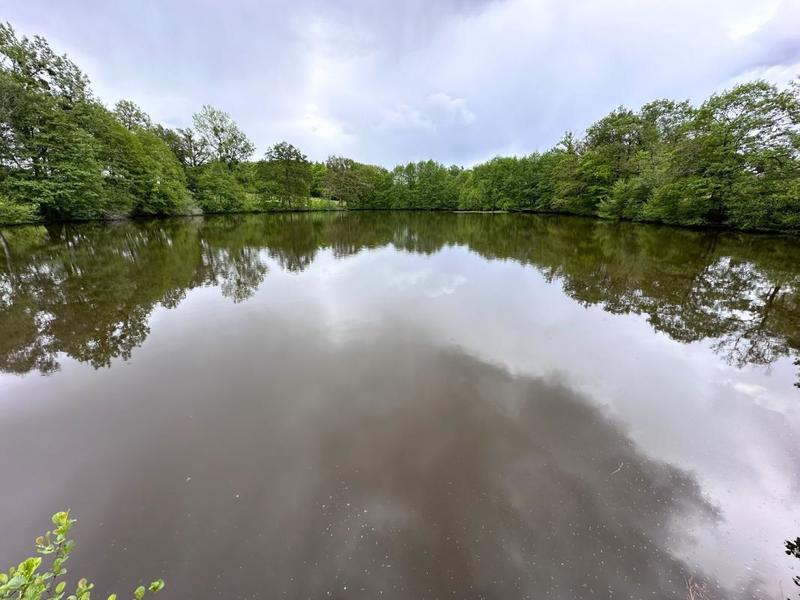 Propriété - 467 m² - 9 pièces