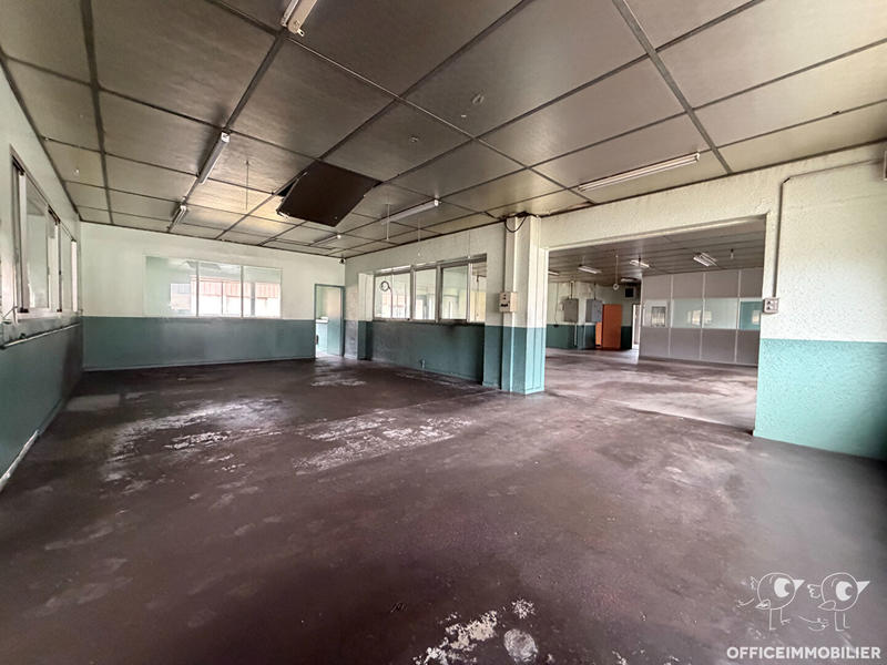Local d'activité / Entrepôt - 775 m²