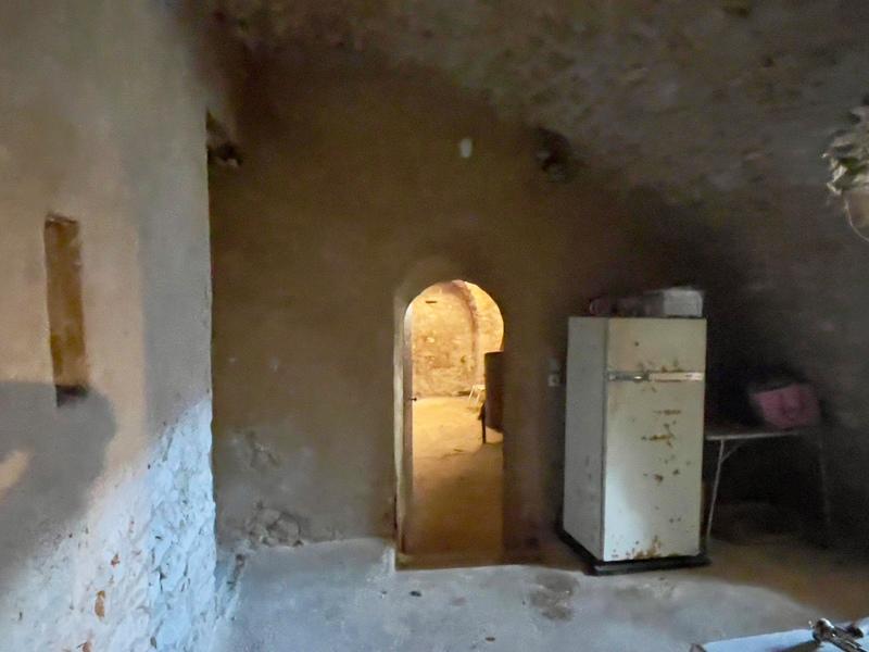 Château - 600 m² - 6 pièces