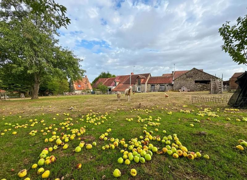 Longère - 92 m² - 4 pièces