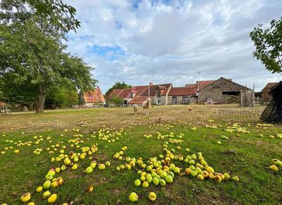 Longère - 92 m² - 4 pièces