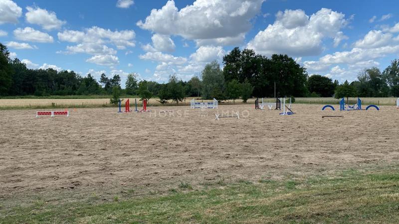 Maison de domaine équestre - 235 m² - 8 pièces