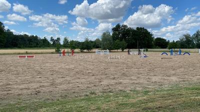 Maison de domaine équestre - 235 m² - 8 pièces