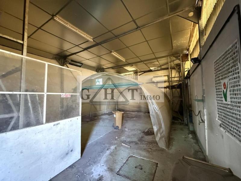 Entrepôt - 978 m²