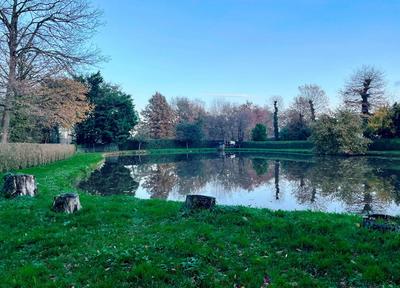 Terrain de loisirs - 8 950 m²